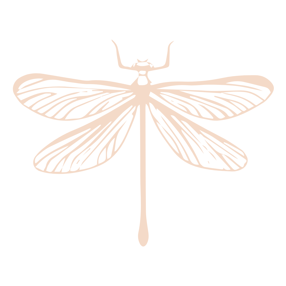 MSS dragonfly logo